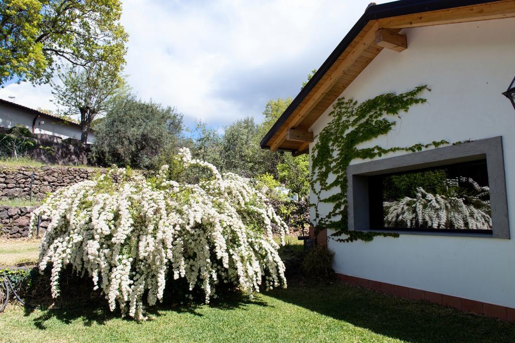 Domus Verdiana Ragalna Room photo